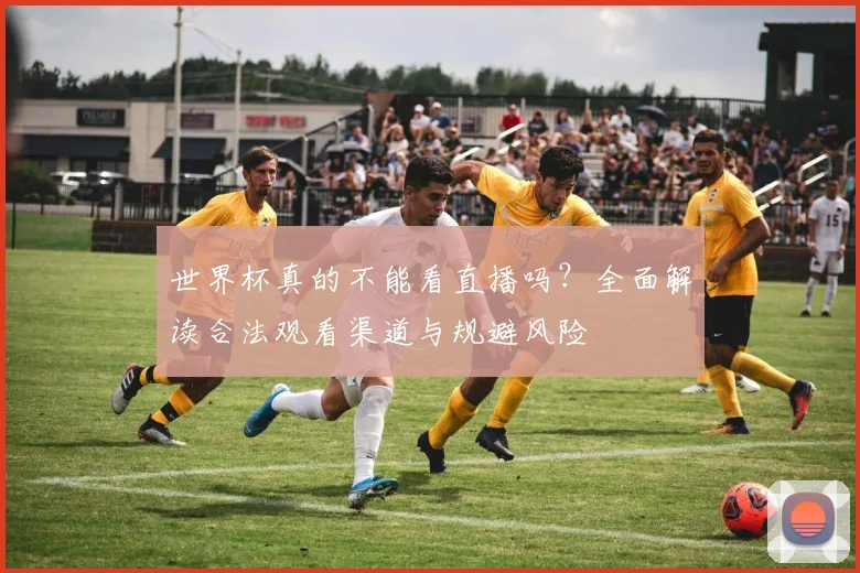 世界杯真的不能看直播吗？全面解读合法观看渠道与规避风险