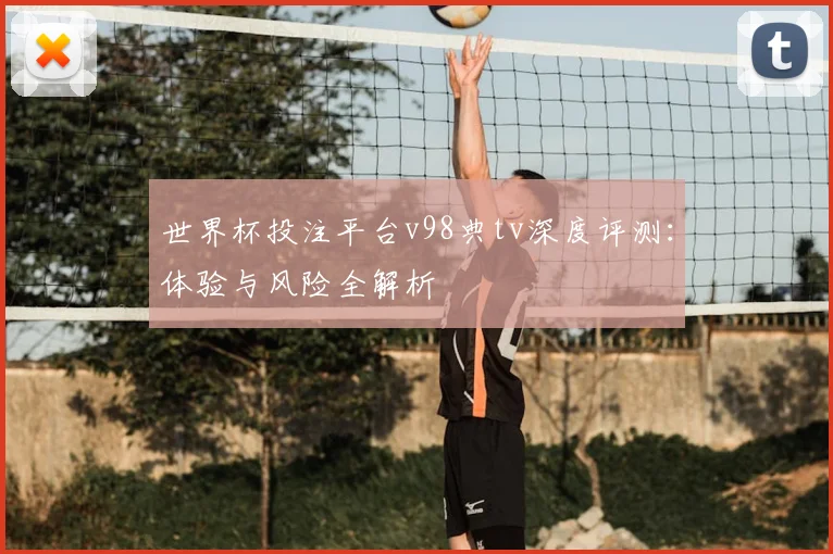 世界杯投注平台v98典tv深度评测:体验与风险全解析