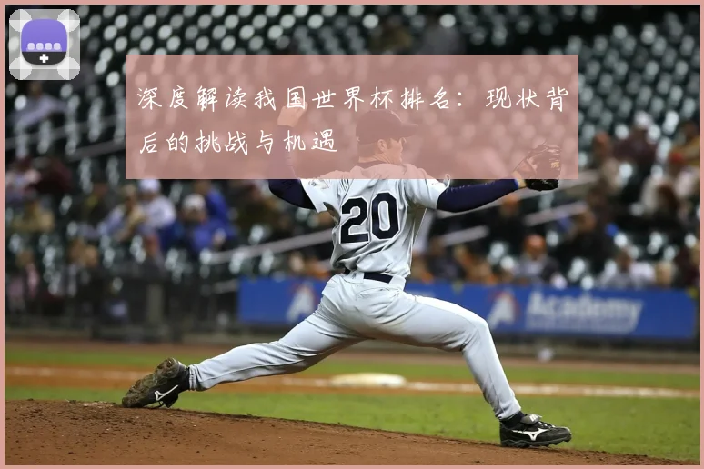 深度解读我国世界杯排名：现状背后的挑战与机遇